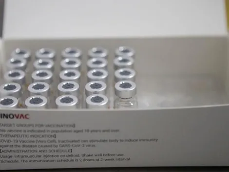 Vacuna Sinovac | Conoce los detalles y cómo se implementa en Chile