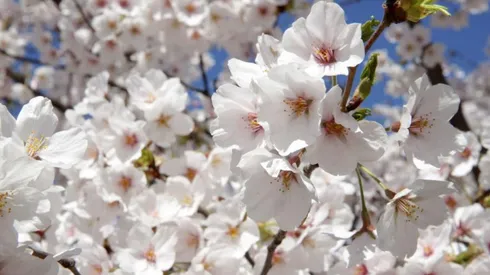 Conoce que te depara hoy el horóscopo