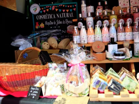 Postula al Capital Semilla de Sercotec