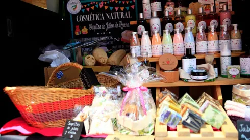 Postula al Capital Semilla de Sercotec