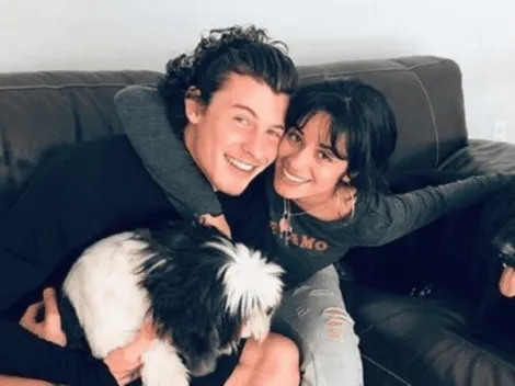 Shawn Mendes y Camila Cabello sufren robo en el hogar que comparten