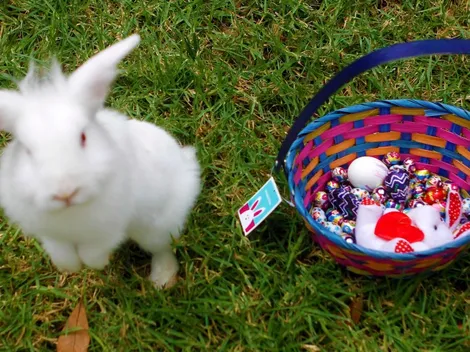 ¿Dónde comprar huevitos de pascua con delivery?