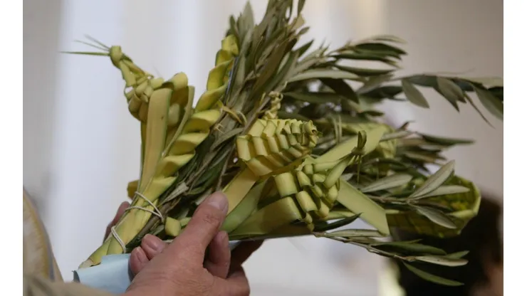 Domingo de ramos