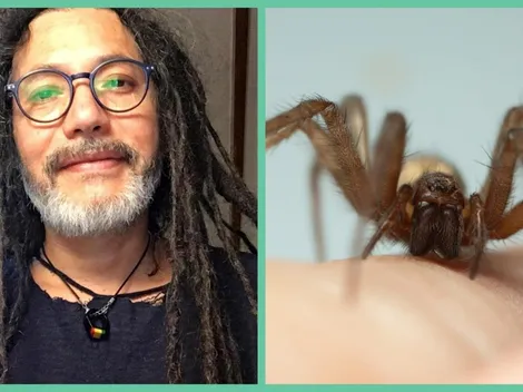 Araña de rincón manda a Quique Neira al hospital