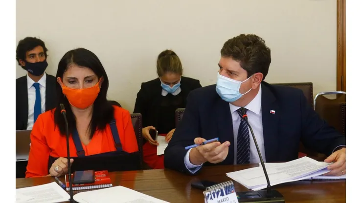 La ministra Karla Rubilar fue parte de la discusión en la Comisión de Hacienda.