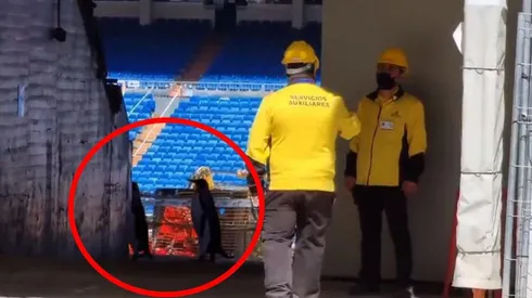 Nadie sabe de dónde salieron esos dos pingünos