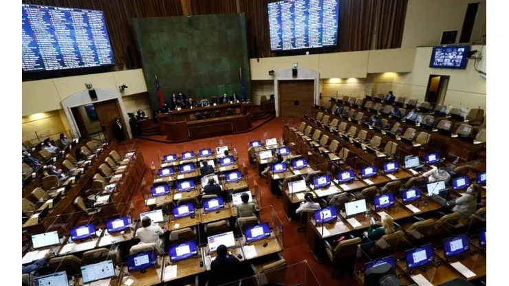 El miércoles 31 de marzo se votará la primera instancia del proyecto.