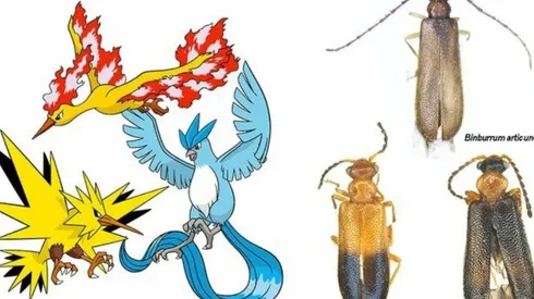 La saga está celebrando 25 años de vida.