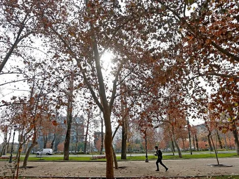 Conoce el día y la hora exacta en que comienza el otoño en Chile
