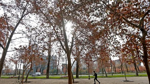 A diferencia de la creencia popular, el otoño no comienza el 21 de marzo.