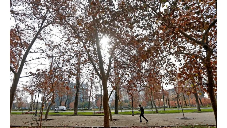 A diferencia de la creencia popular, el otoño no comienza el 21 de marzo.