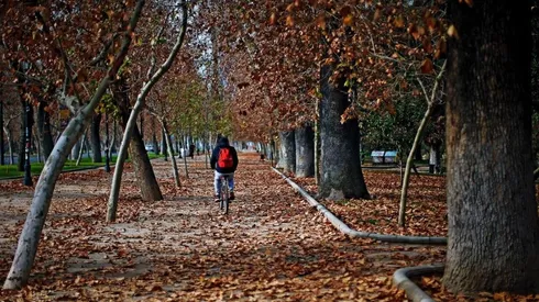 La época otoñal es muy característica, con bajas en la temperatura y cambios en la flora natural.