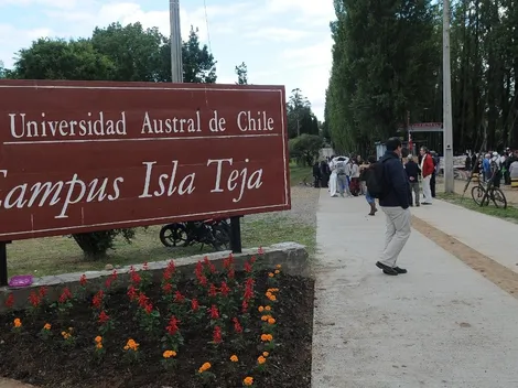 Conoce cómo sacar el certificado de estudios para matricularte en la universidad