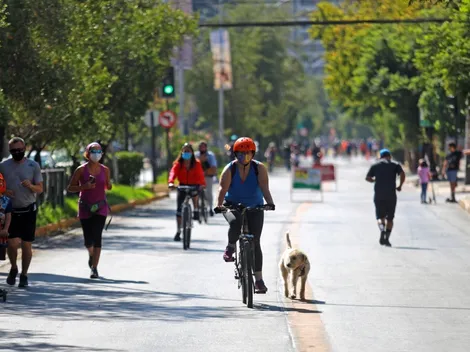 Plan Paso a Paso | Conoce AQUÍ en que fase se encuentra actualmente tu comuna