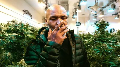 Tyson dice que se fuma unos 40 mil dólares al mes con sus amigos