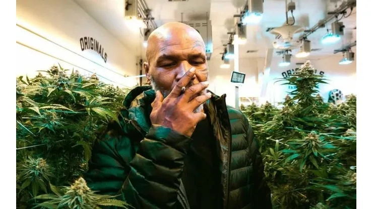 Tyson dice que se fuma unos 40 mil dólares al mes con sus amigos