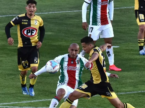 Palestino y Coquimbo Unido animan un partidazo decisivo en la 34° fecha