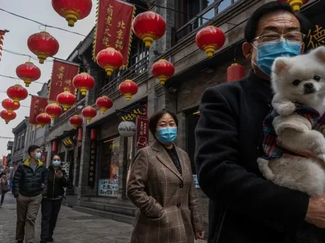 Año Nuevo Chino: este viernes 12 de febrero empieza el año del Búfalo