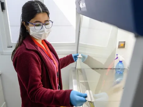 Bono Mujer Trabajadora | Requisitos y cómo postular