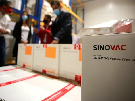 Estudio confirma la efectividad de CoronaVac en adultos mayores