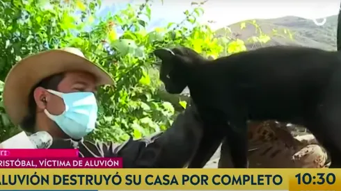 El reencuentro de Patricio, uno de los vecinos damnificados del Cajón del Maipo, y su gato "Corbata".
