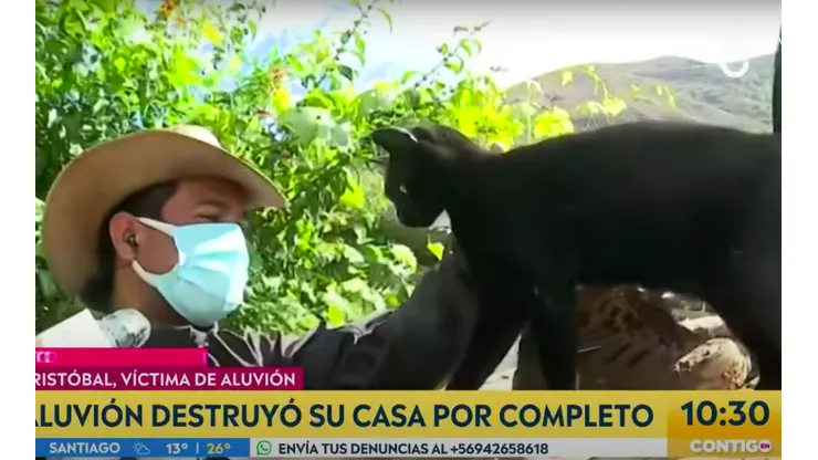 El reencuentro de Patricio, uno de los vecinos damnificados del Cajón del Maipo, y su gato "Corbata".