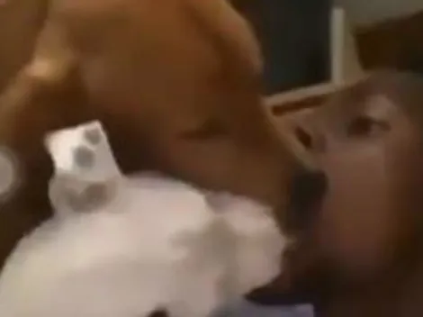 Jugador del Benfica hizo que sus perros lo langüeteen dentro de su boca