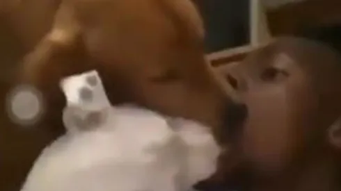 Nuno Tavares dejando que sus perros pongan la lengua dentro de su boca