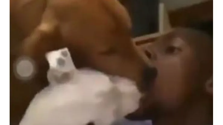 Nuno Tavares dejando que sus perros pongan la lengua dentro de su boca