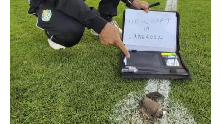 Murciélago encontrado en el Campeonato Africano de Naciones