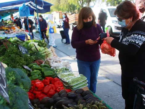 Bono Dueña de Casa | Revisa con tu RUT para saber si eres beneficiaria