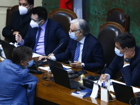 Se rechaza el proyecto de Retiro de Rentas Vitalicias