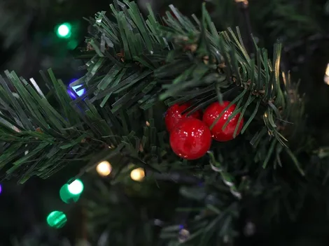 ¿Es feriado irrenunciable Navidad y Año Nuevo?