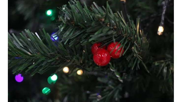 ¿Es feriado irrenunciable Navidad y Año Nuevo?