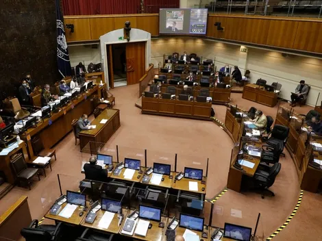 Comisión del Senado aprobó idea de legislar