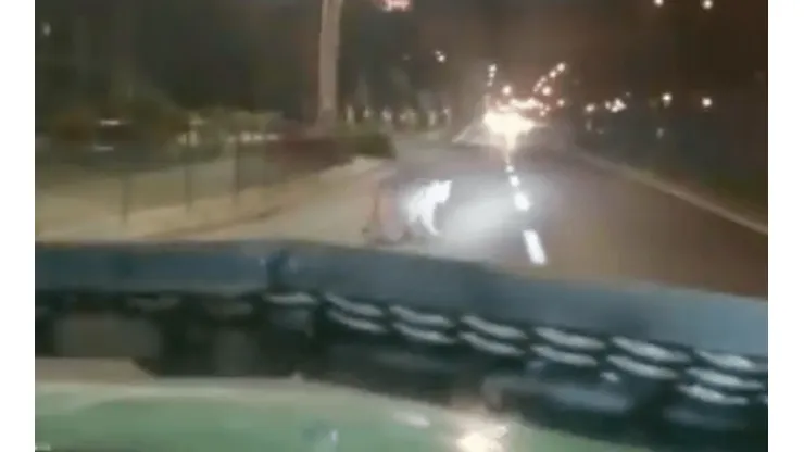Pobladores difunden nuevo avistamiento de puma en Huechuraba.