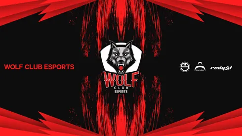 Wolf busca ADC para League of League