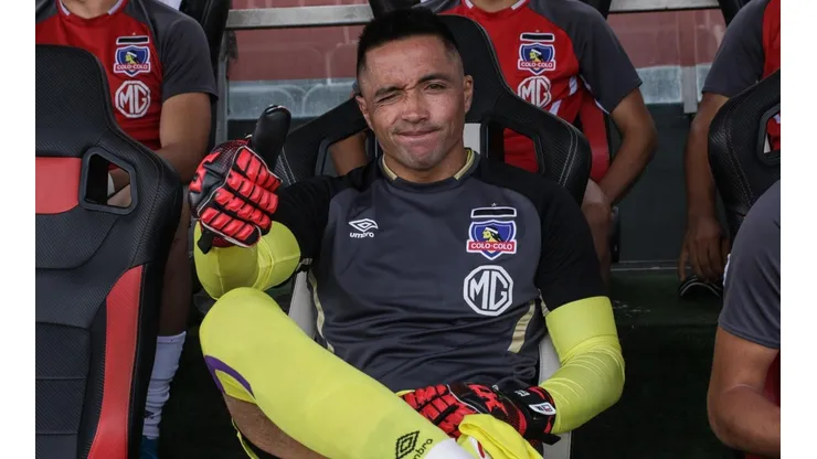 Pinto en Colo Colo.