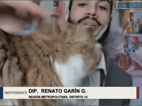 El gracioso chascarro del diputado Garín con su gato
