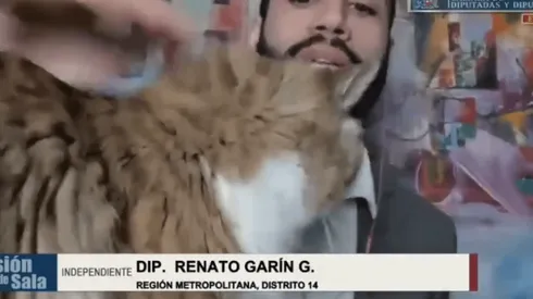 La mascota del diputado Garín se robó la película.