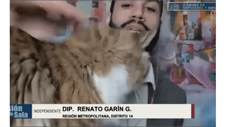 La mascota del diputado Garín se robó la película.