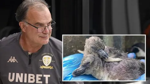 Marcelo Bielsa desató la locura en Inglaterras tras lograr el campeonato y el ascenso con el Leeds United.