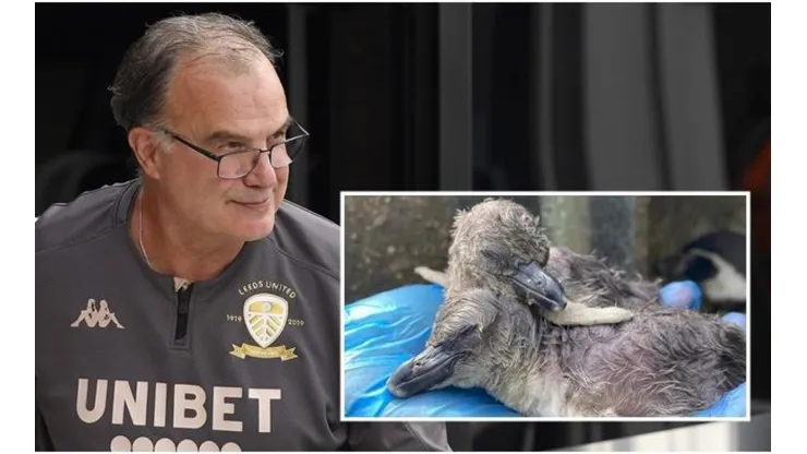 Marcelo Bielsa desató la locura en Inglaterras tras lograr el campeonato y el ascenso con el Leeds United.