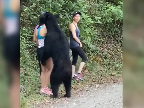 Video: Mujer sobrevivió al abrazo de un oso