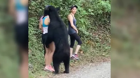 Video: Mujer sobrevivió al abrazo de un oso