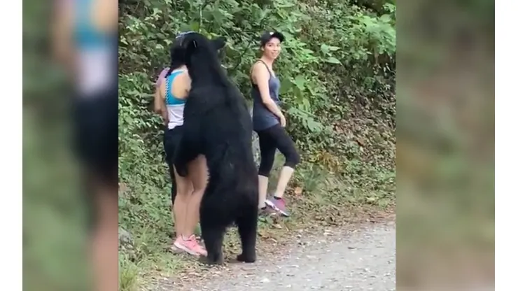 Video: Mujer sobrevivió al abrazo de un oso
