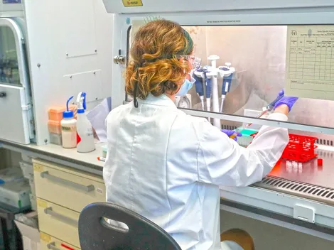 Vacuna de Oxford produce reacción inmune contra el coronavirus según los primeros resultados del estudio