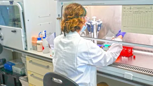 La universidad de Oxford ha trabajado en conjunto con Aztrazeneca.