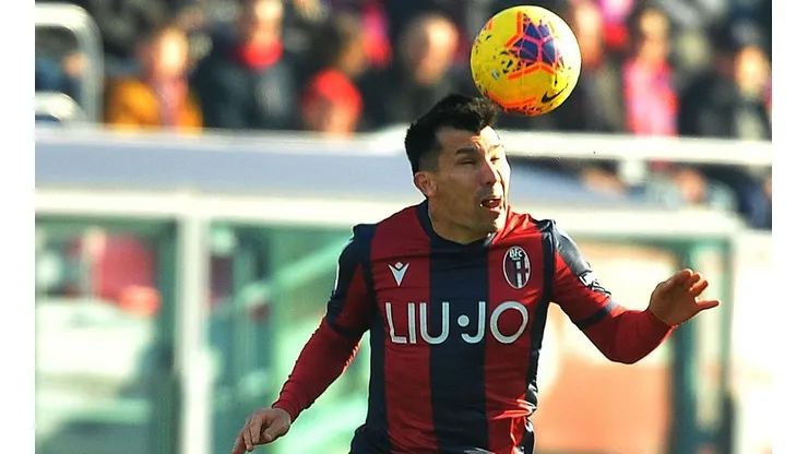 Medel en Bologna.
