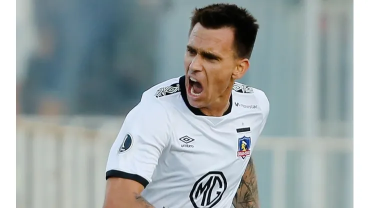 Mouche en Colo Colo.